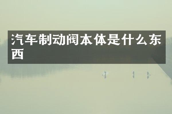 汽车制动阀本体是什么东西
