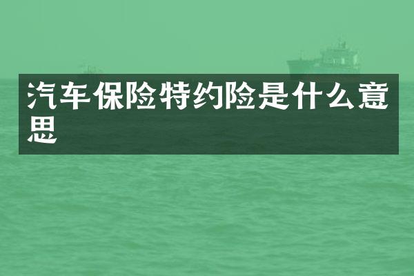 汽车保险特约险是什么意思