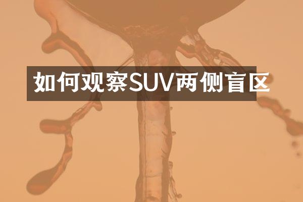 如何观察SUV两侧盲区
