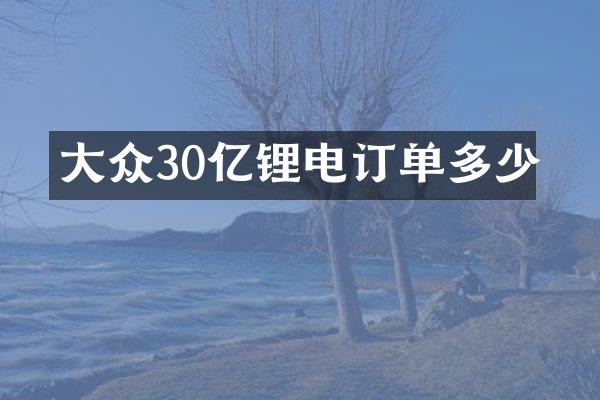 大众30亿锂电订单多少