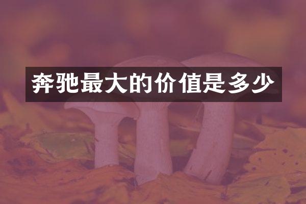 奔驰最大的价值是多少