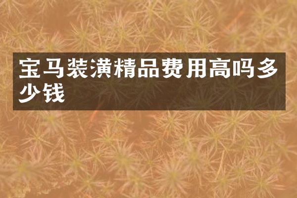 宝马装潢精品费用高吗多少钱