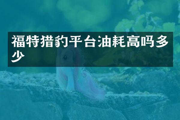 福特猎豹平台油耗高吗多少