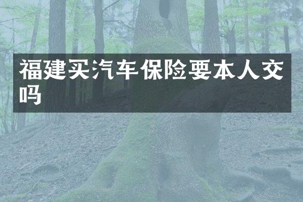福建买汽车保险要本人交吗