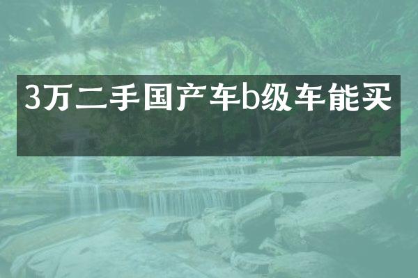 3万二手国产车b级车能买吗