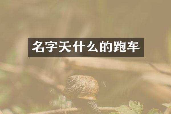 名字天什么的跑车