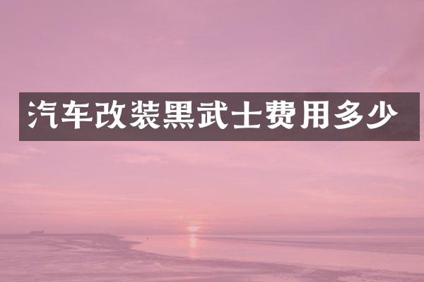 汽车改装黑武士费用多少