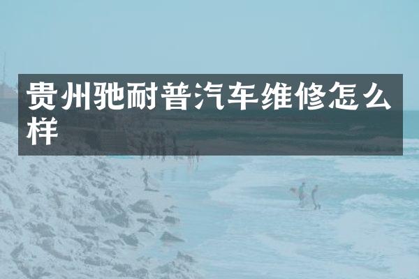 贵州驰耐普汽车维修怎么样