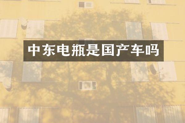 中东电瓶是国产车吗