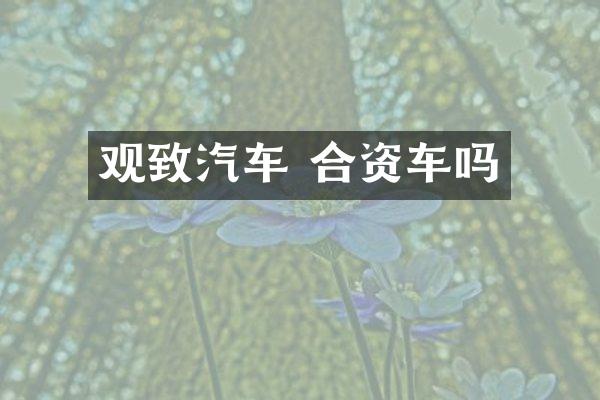 观致汽车 合资车吗