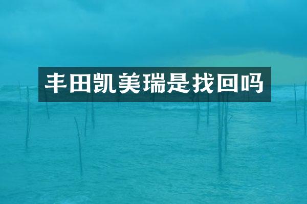 丰田凯美瑞是找回吗