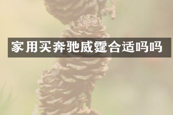 家用买奔驰威霆合适吗吗