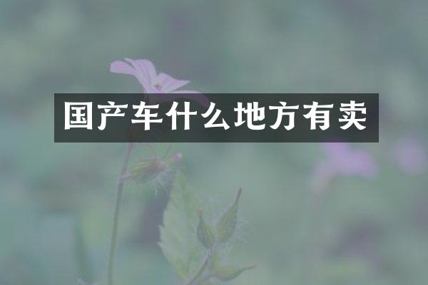 国产车什么地方有卖