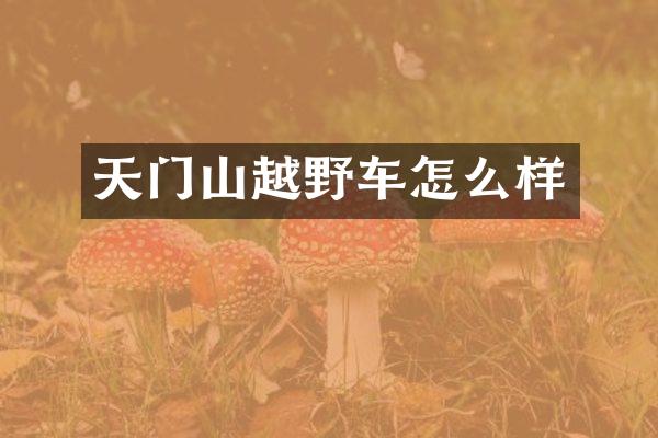 天门山越野车怎么样