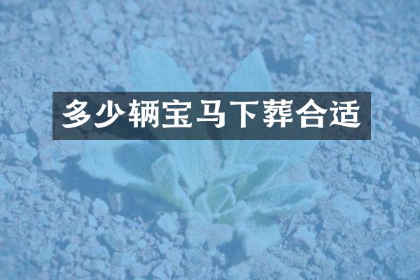 多少辆宝马下葬合适