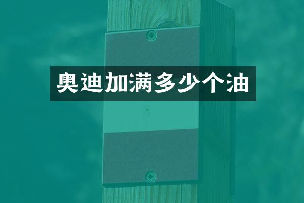 奥迪加满多少个油