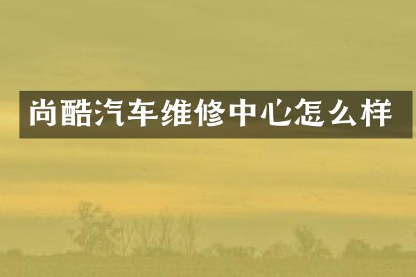 尚酷汽车维修中心怎么样