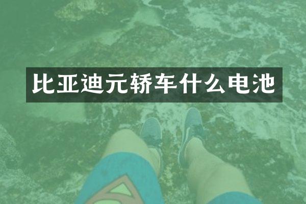 比亚迪元轿车什么电池
