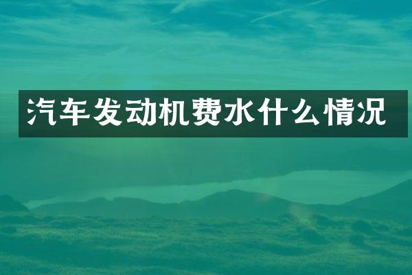 汽车发动机费水什么情况