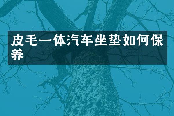 皮毛一体汽车坐垫如何保养