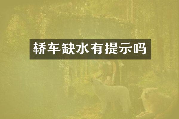 轿车缺水有提示吗