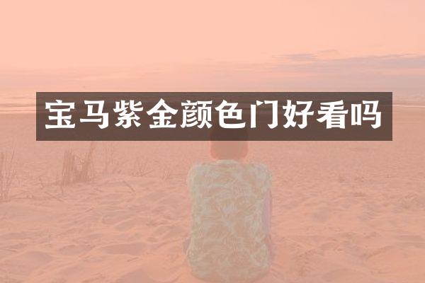宝马紫金颜色门好看吗