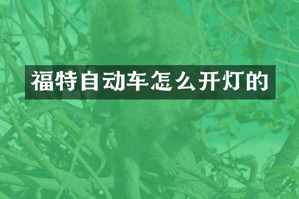 福特自动车怎么开灯的