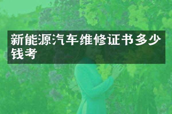 新能源汽车维修证书多少钱考