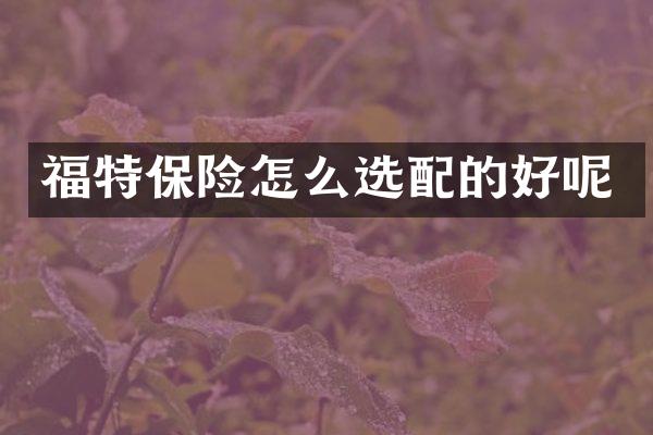 福特保险怎么选配的好呢