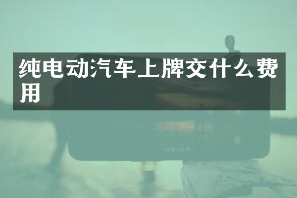 纯电动汽车上牌交什么费用