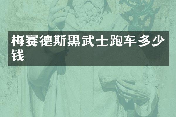 梅赛德斯黑武士跑车多少钱