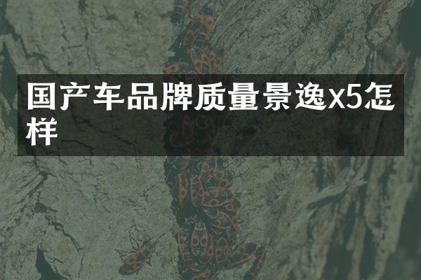 国产车品牌质量景逸x5怎么样