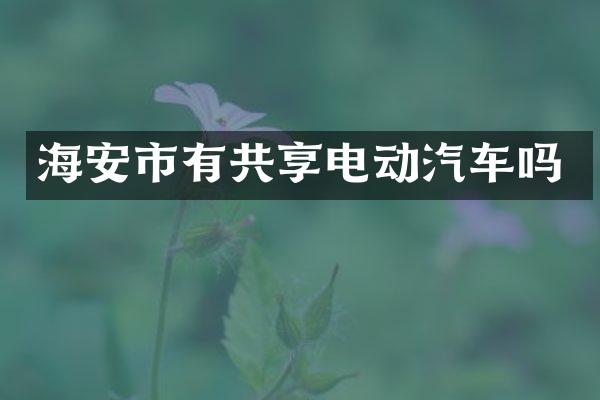 海安市有共享电动汽车吗