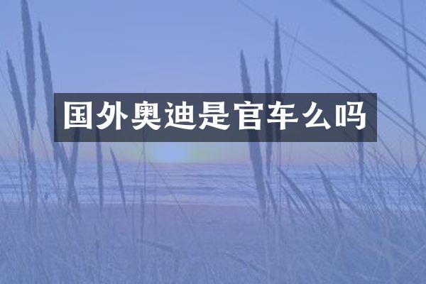 国外奥迪是官车么吗
