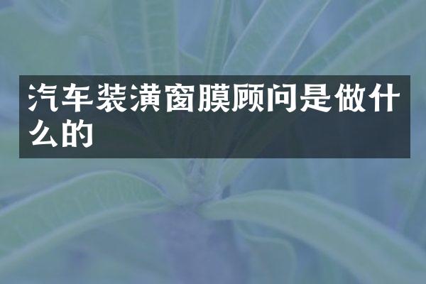 汽车装潢窗膜顾问是做什么的