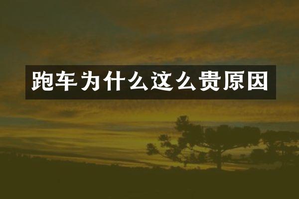 跑车为什么这么贵原因