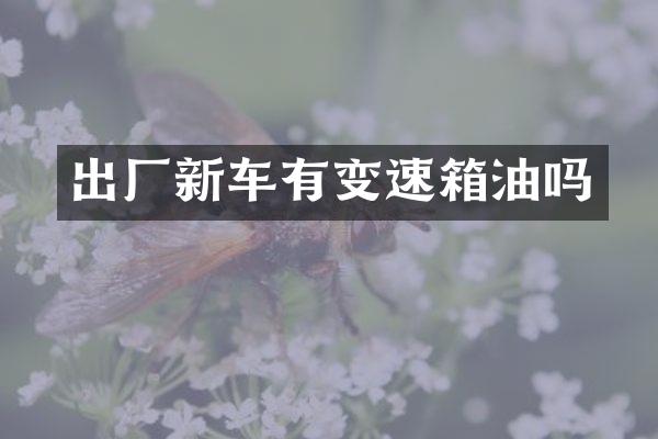 出厂新车有变速箱油吗