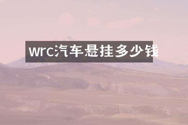 wrc汽车悬挂多少钱