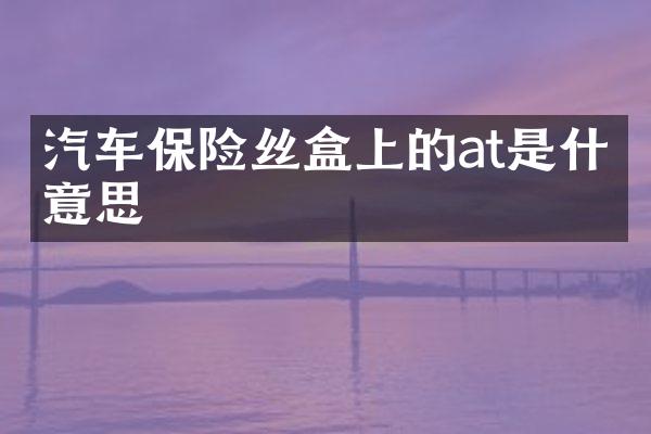 汽车保险丝盒上的at是什么意思