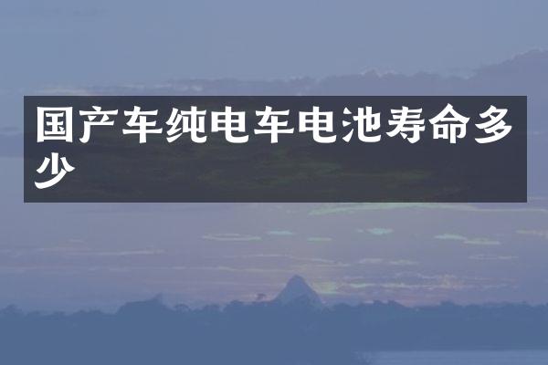 国产车纯电车电池寿命多少