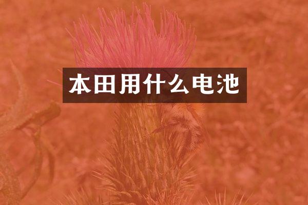 本田用什么电池