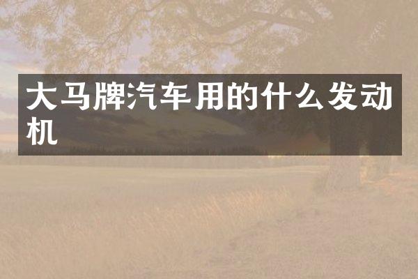 大马牌汽车用的什么发动机