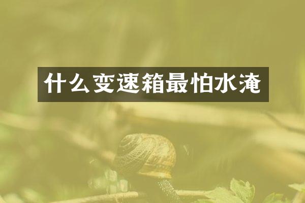 什么变速箱最怕水淹
