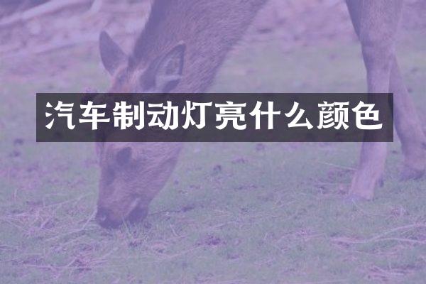 汽车制动灯亮什么颜色