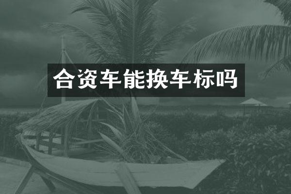 合资车能换车标吗