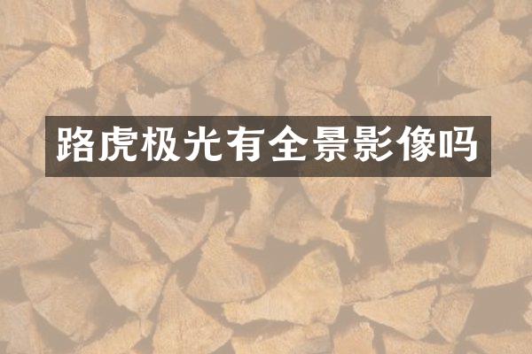 路虎极光有全景影像吗