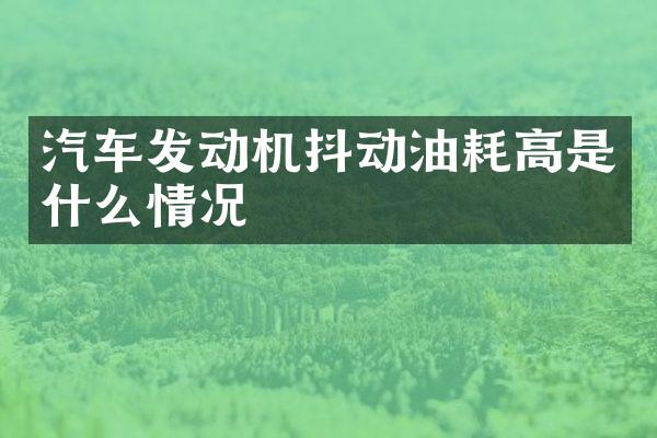 汽车发动机抖动油耗高是什么情况