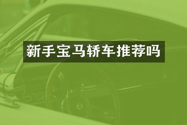 新手宝马轿车推荐吗