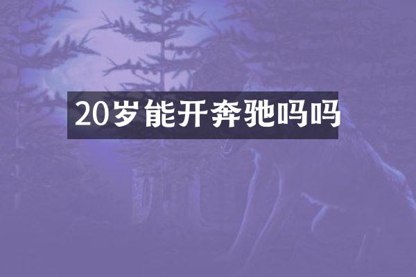 20岁能开奔驰吗吗
