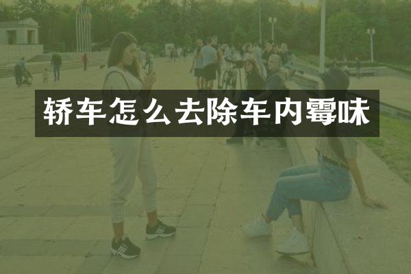 轿车怎么去除车内霉味